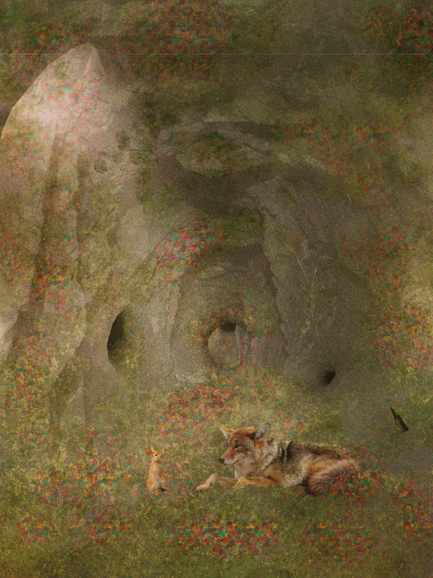 Simbiótica — Nature Integration