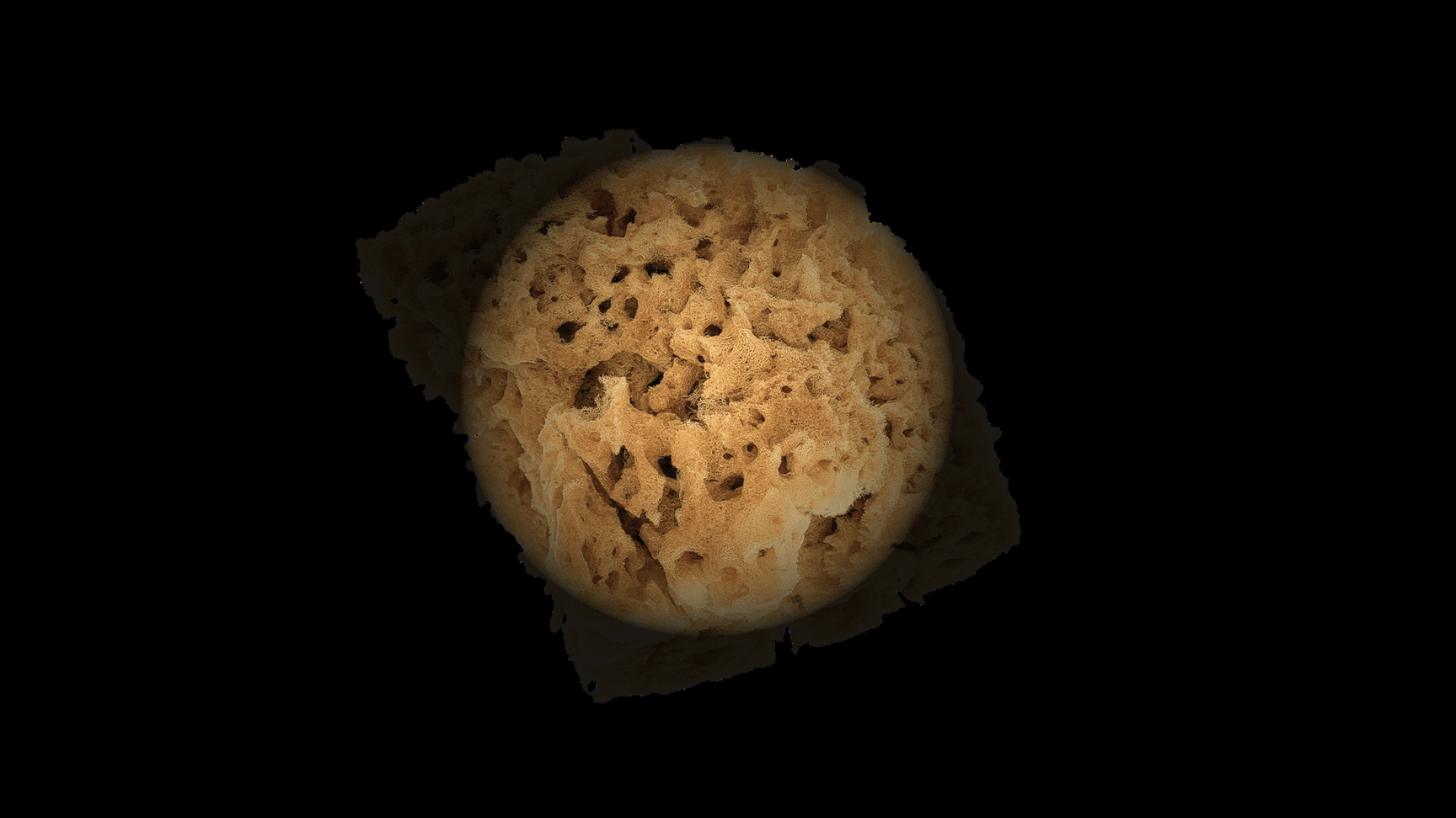 Simbiótica Research — Image 6